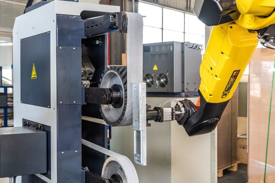 الفولاذ المقاوم للصدأ CNC الروبوتية سطح الذراع التلقائي آلة طحن